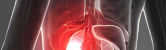 Formation insuffisance rénale visuel type corps radio rein en rouge